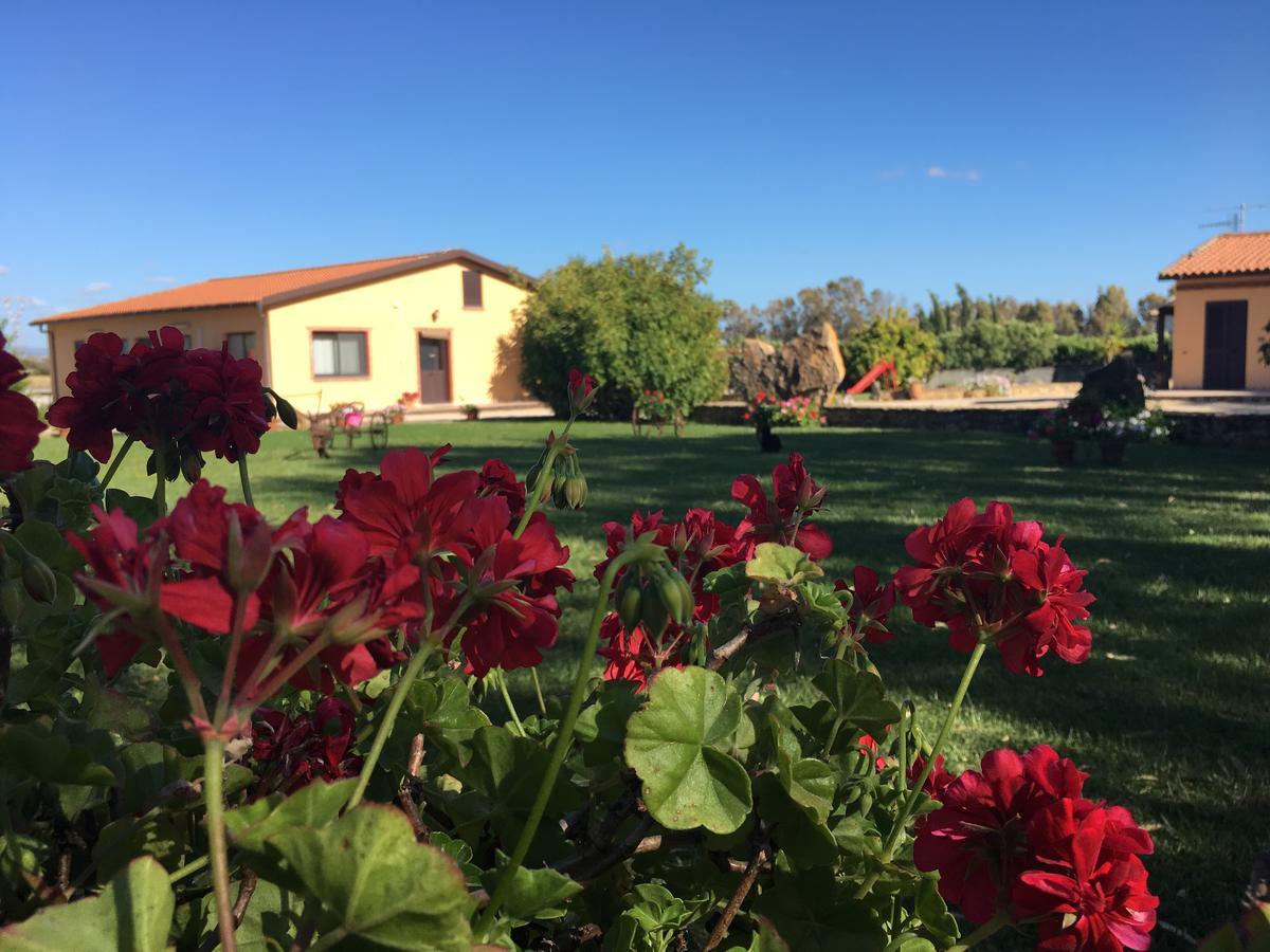 Agriturismo Sechi Campanedda ภายนอก รูปภาพ